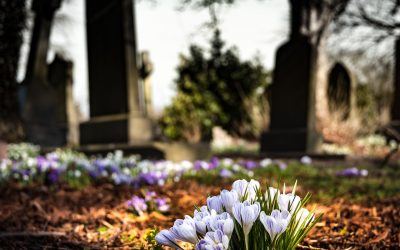 Letter From The Grave